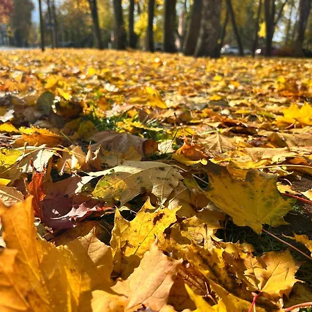 Casa vacanze Town House I