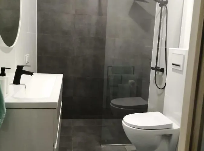 Town House I * Druskininkai