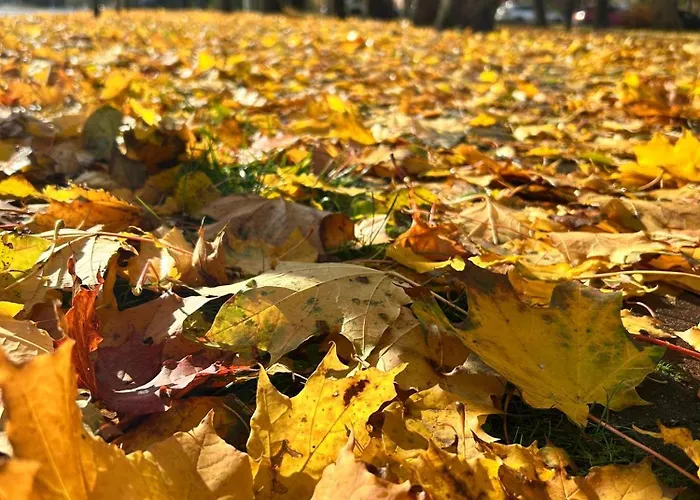 Holiday home Town House I