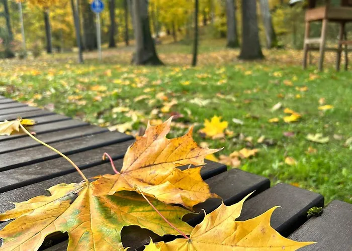 Town House I Holiday home *